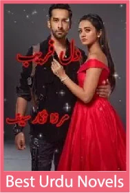 Dilfareb Novel by Mirza Nigar Saif