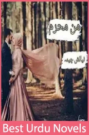 Man Mehram novel by Nayalish Cheema