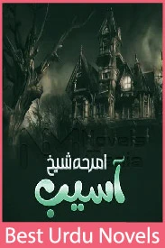 Aasaib novel by Amrah Sheikh