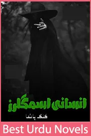 Insani Smugglers Novel By King Pasha