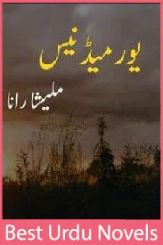 Your Madness Novel By Malish Rana