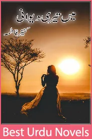main teri deewani novel Kinza Fatima