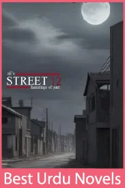 Street 12 novel by Ali Shah