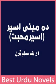 Damini Aseer Novel By Muslim Girl All Episodes
