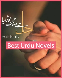 Dill Tery Sang Jor Liya Novel