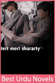 Teri Meri Sharartien Novel By Khani Writes