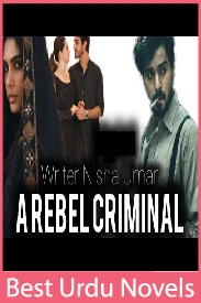A Rebel Criminal Novel By Nisha Umer