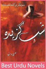 Shab e Gazeeda Novel By Aneeza Syed