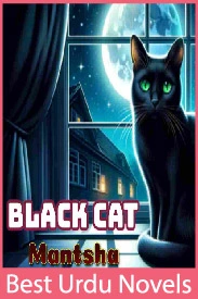 Black Cat Novel By Mantasha