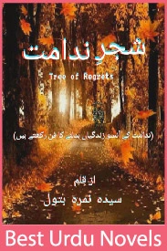 Shjr e Nidamat Novel By Nimra Batool