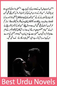Mere Haal Da Mehram Koi Na Novel By Kitabnagri