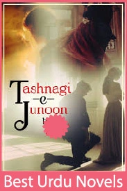 tashnagi junoon novel by mahra
