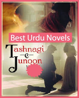 tashnagi junoon novel