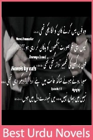 Humsafar Novel By Nafs