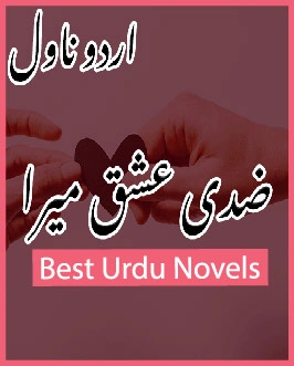 Ziddi Ishq Mera Novel