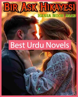 Bir Ask Hikayesi Novel