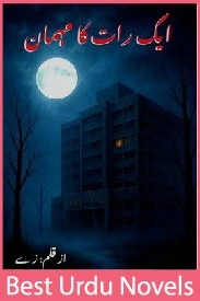 Ek Raat ka Mehman Novel by Zey