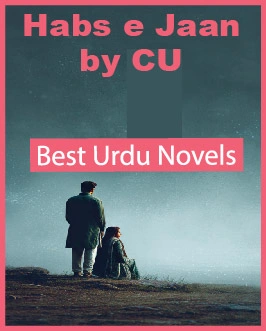 habs e jaan novel
