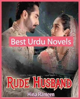Rude Husband Novel
