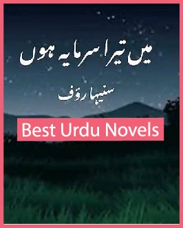 main tera sarmaya hon novel