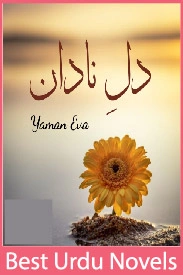 Dill e Nadan Novel By Yaman Eva