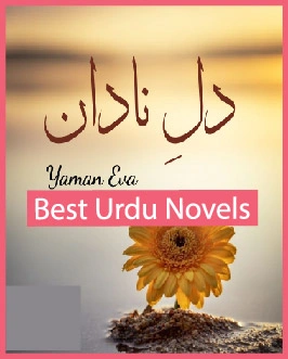 Dill e Nadan Novel