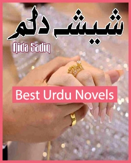Sheesha e Dilam Novel