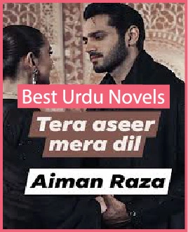 Tera Aseer Mera Dil Novel