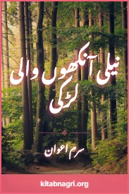 Neeli Ankho Wali Larki Novel By Sarm Awan
