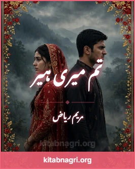 Tu Meri Heer Novel